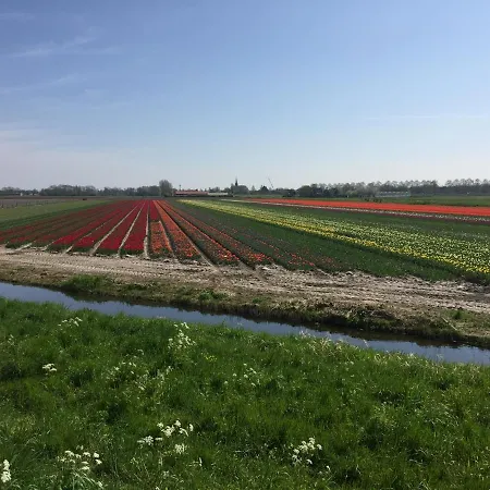 De Ooievaar