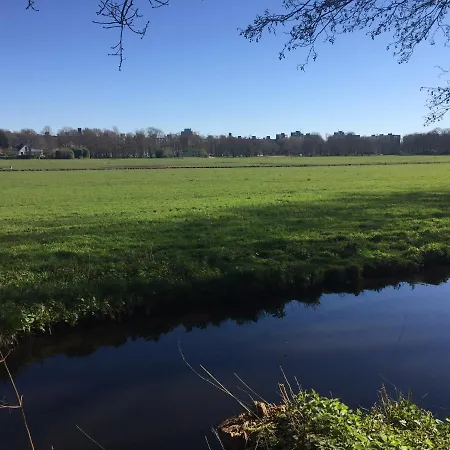 De Ooievaar